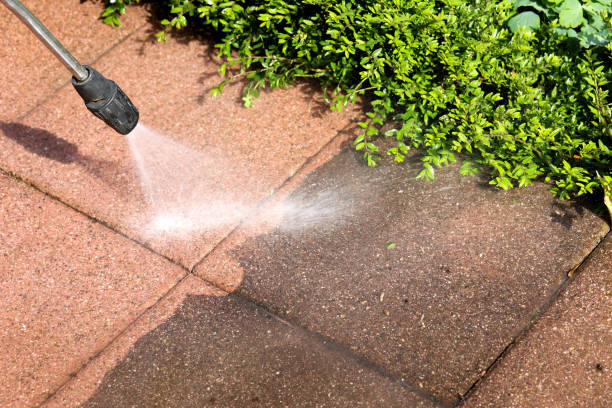 Best Roof Pressure Washing  in Glennville, GA
